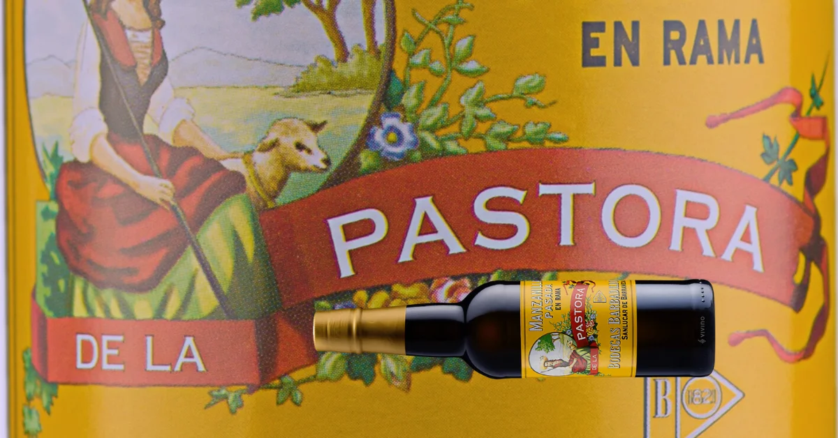 Manzanilla Pasada en Rama Pastora 1 manzanilla pasada en rama pastora